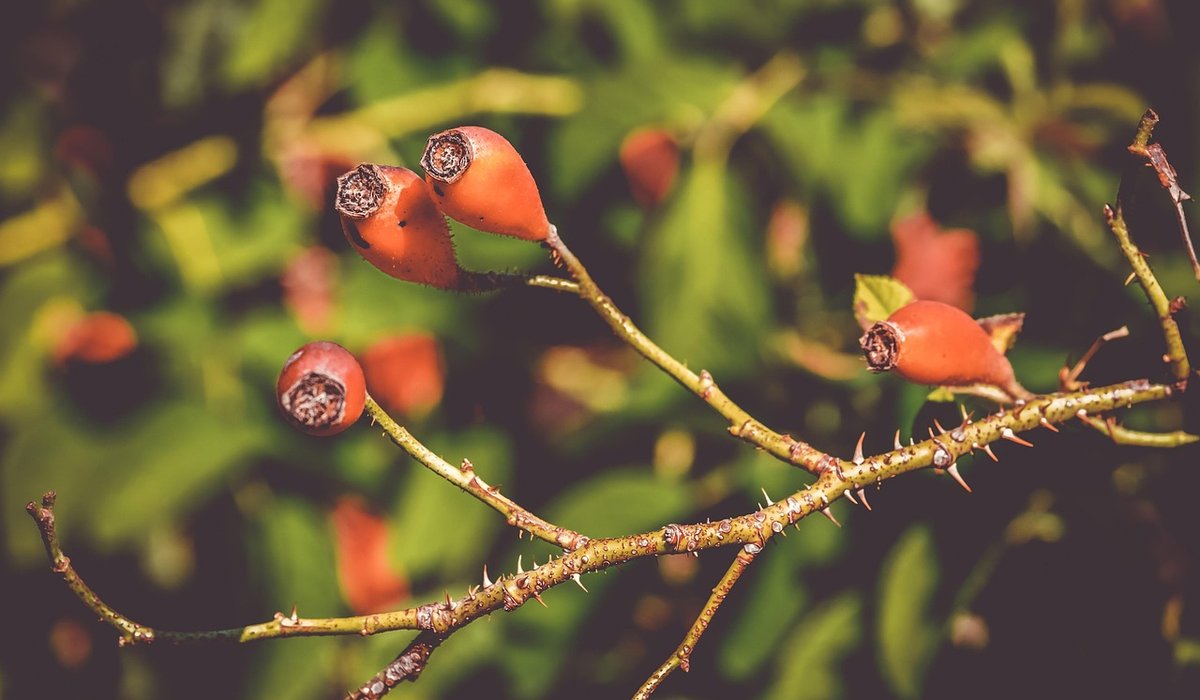 blog single post